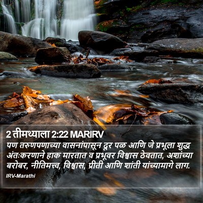2 तीमथ्याला 2:22 MARIRV Bible Verse Image