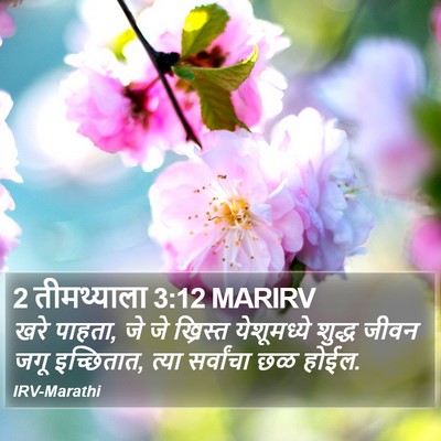 2 तीमथ्याला 3:12 MARIRV Bible Verse Image