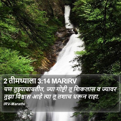 2 तीमथ्याला 3:14 MARIRV Bible Verse Image