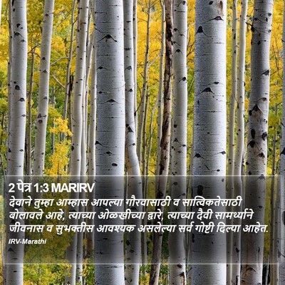 2 पेत्र 1:3 MARIRV Bible Verse Image