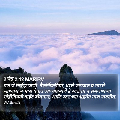 2 पेत्र 2:12 MARIRV Bible Verse Image
