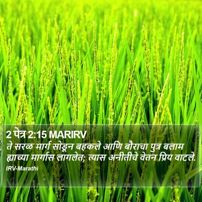 2 पेत्र 2:15 MARIRV Bible Verse Image
