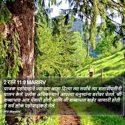 2 राजे 11:9 MARIRV Bible Verse Image