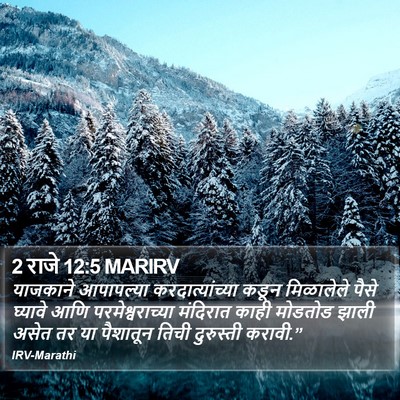 2 राजे 12:5 MARIRV Bible Verse Image