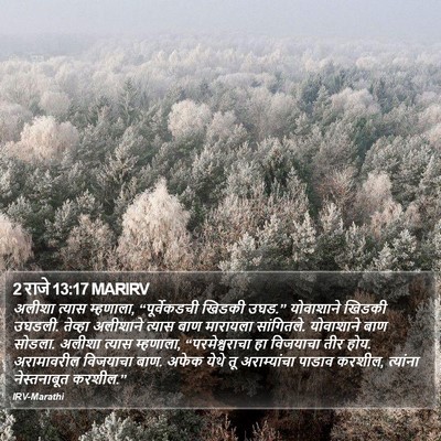 2 राजे 13:17 MARIRV Bible Verse Image