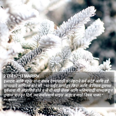 2 राजे 17:13 MARIRV Bible Verse Image
