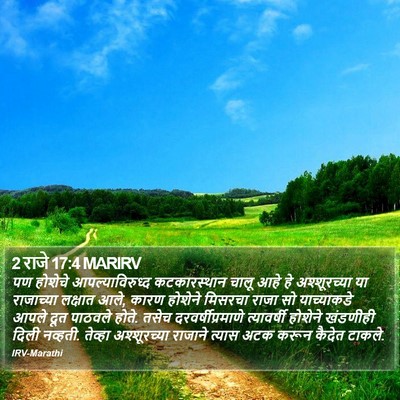 2 राजे 17:4 MARIRV Bible Verse Image