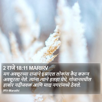 2 राजे 18:11 MARIRV Bible Verse Image