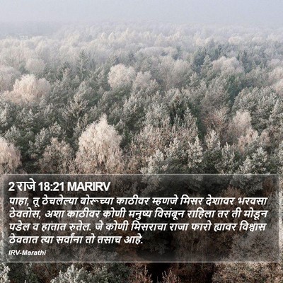 2 राजे 18:21 MARIRV Bible Verse Image