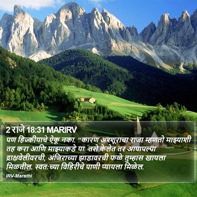 2 राजे 18:31 MARIRV Bible Verse Image