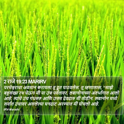 2 राजे 19:23 MARIRV Bible Verse Image
