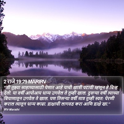 2 राजे 19:29 MARIRV Bible Verse Image