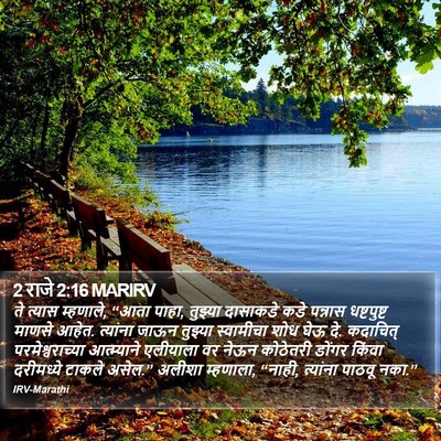 2 राजे 2:16 MARIRV Bible Verse Image