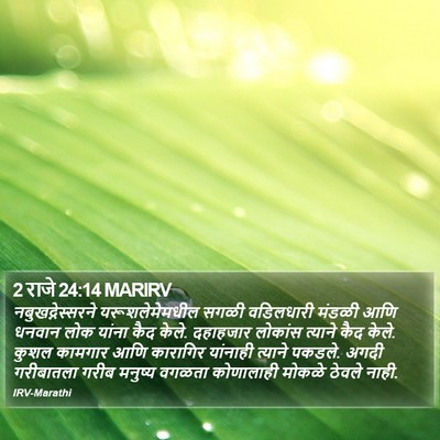 2 राजे 24:14 MARIRV Bible Verse Image