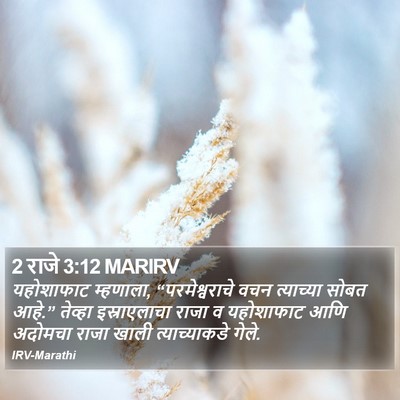 2 राजे 3:12 MARIRV Bible Verse Image
