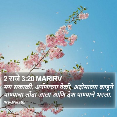 2 राजे 3:20 MARIRV Bible Verse Image