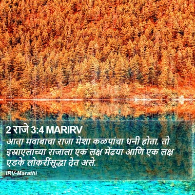 2 राजे 3:4 MARIRV Bible Verse Image