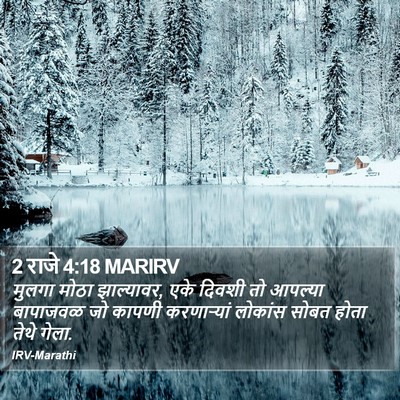 2 राजे 4:18 MARIRV Bible Verse Image