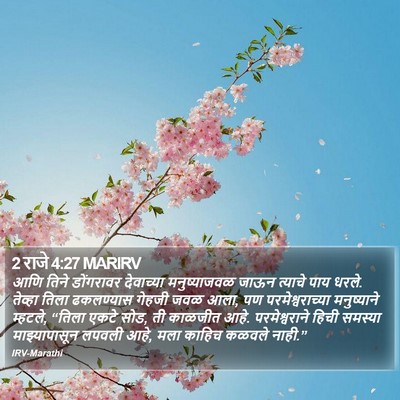 2 राजे 4:27 MARIRV Bible Verse Image