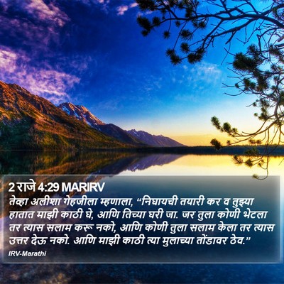 2 राजे 4:29 MARIRV Bible Verse Image