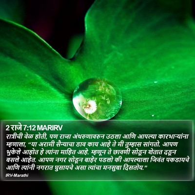 2 राजे 7:12 MARIRV Bible Verse Image