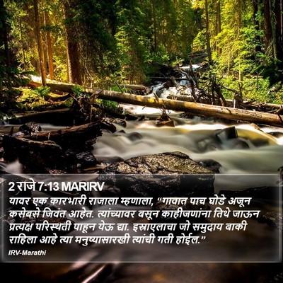 2 राजे 7:13 MARIRV Bible Verse Image
