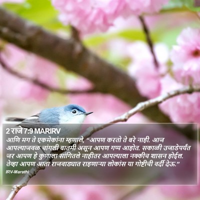 2 राजे 7:9 MARIRV Bible Verse Image
