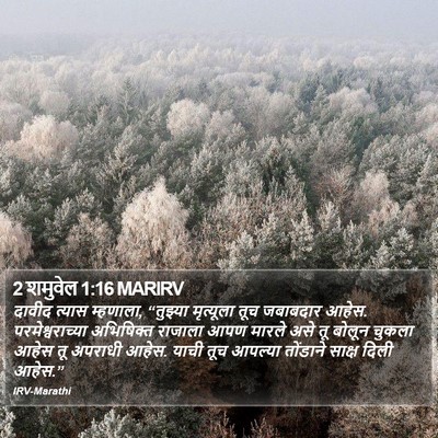2 शमुवेल 1:16 MARIRV Bible Verse Image