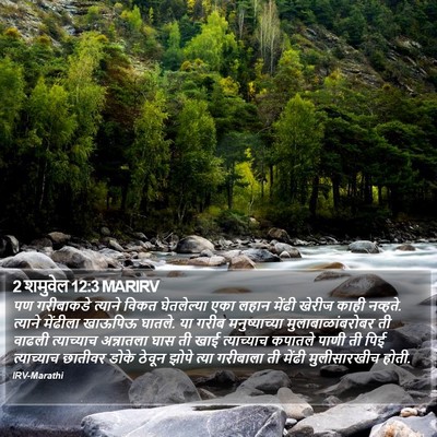 2 शमुवेल 12:3 MARIRV Bible Verse Image