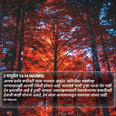 2 शमुवेल 14:14 MARIRV Bible Verse Image