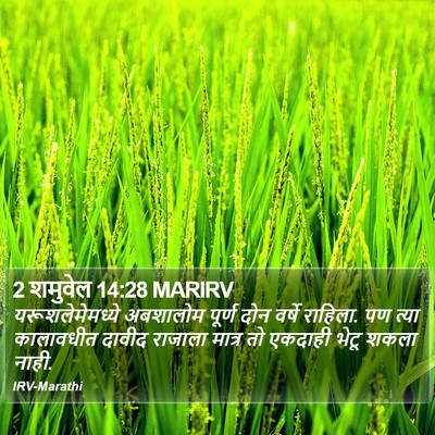 2 शमुवेल 14:28 MARIRV Bible Verse Image
