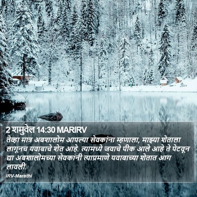 2 शमुवेल 14:30 MARIRV Bible Verse Image