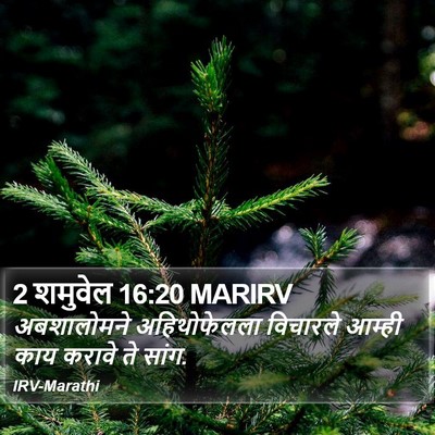 2 शमुवेल 16:20 MARIRV Bible Verse Image