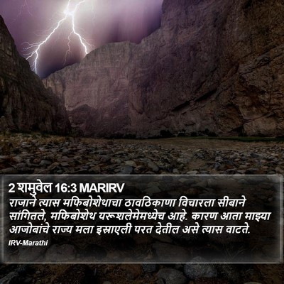 2 शमुवेल 16:3 MARIRV Bible Verse Image