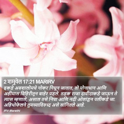 2 शमुवेल 17:21 MARIRV Bible Verse Image