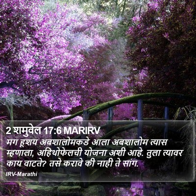 2 शमुवेल 17:6 MARIRV Bible Verse Image