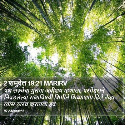 2 शमुवेल 19:21 MARIRV Bible Verse Image