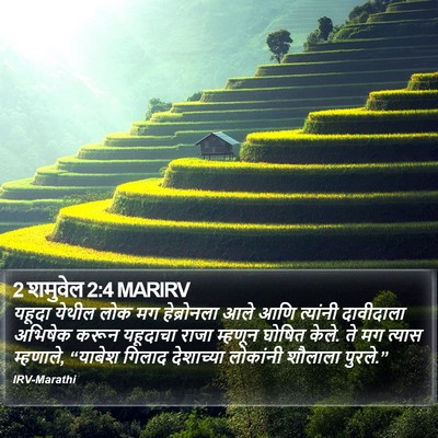2 शमुवेल 2:4 MARIRV Bible Verse Image
