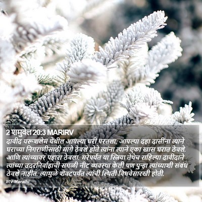 2 शमुवेल 20:3 MARIRV Bible Verse Image