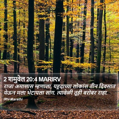 2 शमुवेल 20:4 MARIRV Bible Verse Image