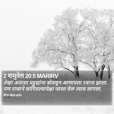 2 शमुवेल 20:5 MARIRV Bible Verse Image