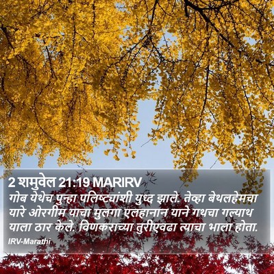 2 शमुवेल 21:19 MARIRV Bible Verse Image