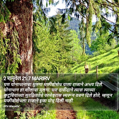 2 शमुवेल 21:7 MARIRV Bible Verse Image