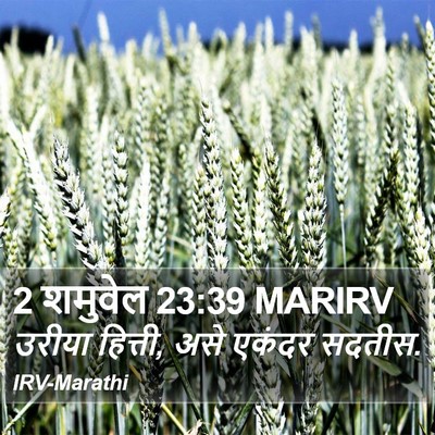 2 शमुवेल 23:39 MARIRV Bible Verse Image