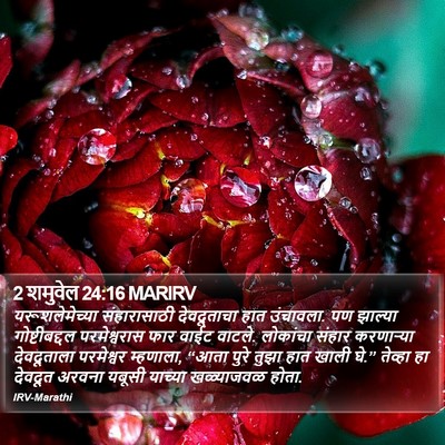 2 शमुवेल 24:16 MARIRV Bible Verse Image