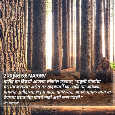 2 शमुवेल 5:8 MARIRV Bible Verse Image