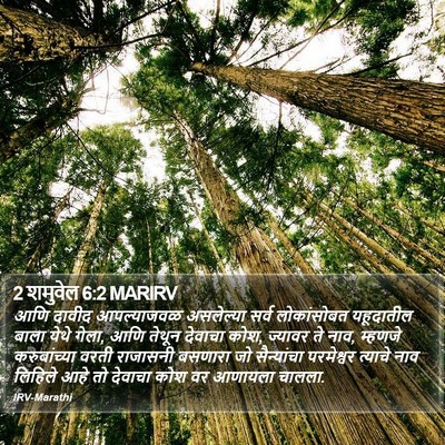 2 शमुवेल 6:2 MARIRV Bible Verse Image