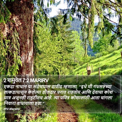 2 शमुवेल 7:2 MARIRV Bible Verse Image