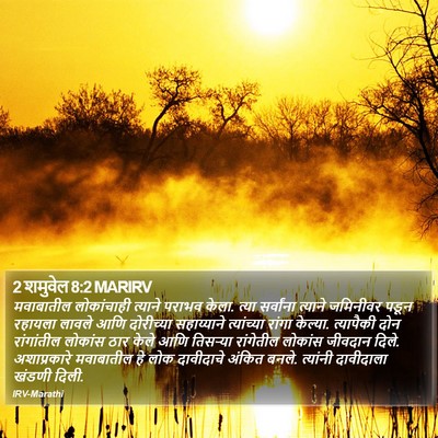 2 शमुवेल 8:2 MARIRV Bible Verse Image