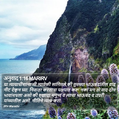 अनुवाद 1:16 MARIRV Bible Verse Image